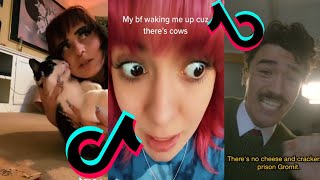 Gromit Wake Up Gromit Weve Got To Hide The Body Trend  TikTok Compilation [upl. by Assillam]