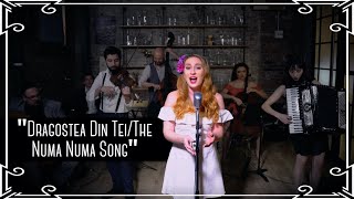 “Dragostea Din TeiThe Numa Numa Song” OZone Romanian Folk Cover by Robyn Adele Anderson [upl. by Mancino]