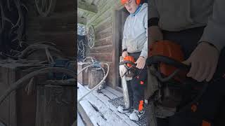 Cold starting my 362chainsaw stihl wood tree chainsawstihl coldstart lumberjack lumber [upl. by Ilyak]