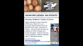 Avian Influenza Update  Strait Science Mar 28 2024 [upl. by Palecek]