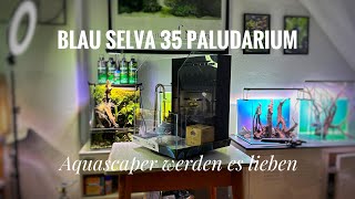 Blau Aquaristic Cubic 35 SELVA  die Vorteile von diesem Paludarium [upl. by Oremodlab]