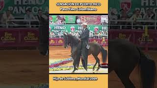 SENSACIÓN DE PUERTO RICO MUNDIAL 2009 pasofino horse shortsvideo equitacion caballosfinos [upl. by Ahasuerus864]