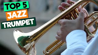 The Best Jazz Trumpet Mouthpieces for Beginners [upl. by Coletta]