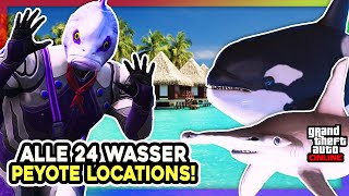 🐠🦈 Alle 24 WASSER PEYOTE FUNDORTE amp LOCATIONS in GTA ONLINE  🦈🐠 [upl. by Ryun]