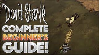 Dont Starve  Guide for Complete Beginners  Episode 4 [upl. by Edasalof]