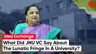 “JNU Has Lunatic Fringe They Don’t Define Identity Of University” JNU VC Santishree D Pandit [upl. by Lorry]