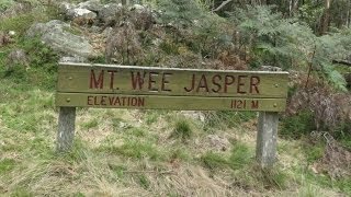 Yowie  Bigfoot Sighting Audio Report 04 at Wee Jasper New South Wales [upl. by Semaj]