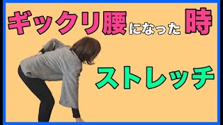 【ぎっくり腰対処法】ぎっくり腰になった時に有効なストレッチを紹介✨（福住整形外科クリニック） [upl. by Haneehs525]