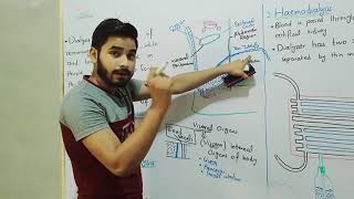 Peritoneal Dialysis And Haemodialysis In Urdu Hindi By MrHadi  Dialysis Class 12  Homeostasis [upl. by Fritzie]