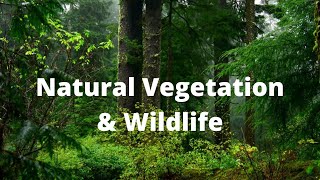 natural vegetation and wildlife class 9 ll NCERT  Social science by Deepak sir [upl. by Hasila]