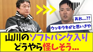 【悲報】西武・山川穂高、ソフトバンク入り確定かと思いきやどうやら怪しそう【なんJなんG反応】【2ch5ch】 [upl. by Florencia]