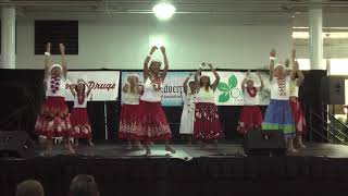 God Bless the USA 445 Blasdell Senior Fair Hula 2017 [upl. by Arodasi]