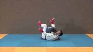 Lesson 4  sweep to osaekomi  JiuJitsu Fighting Lesson JJIF Basics Part 3 [upl. by Sim]