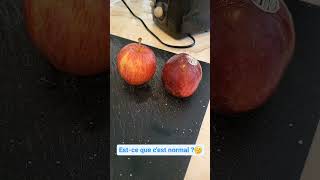 La TAILLE des FRUITS 🍎  Estce NORMAL  🧐 Vivre à Montréal fruit quebec taille [upl. by Ylecara]