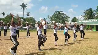 Calisthenics Dance Using Dumbbells  Grade 4  Tambong Elementary School [upl. by Zadack]