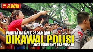 HEBOH WANITA ini Naik PAGAR amp DIKAWAL POLISI Saat Burungnya Dilombakan [upl. by Norvun]