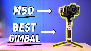 The Best Gimbal for the Canon M50 and M50 Mark II [upl. by Cynarra]