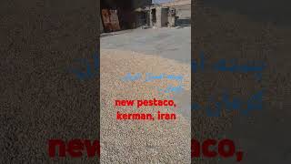 new pestac kerman iran byutiful [upl. by Eimac]