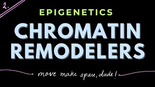 Chromatin Remodeling complexes Part 2  Epigenetics  GATECSIRNET [upl. by Allets110]