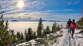 Glacier National Park Cloud Inversion Apgar Lookout above Lake McDonald in 4K [upl. by Bolen]