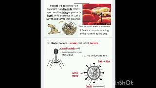 VirusViroidsPrions and Lichen🦠🦠🦠🦠🤔🤔🤔🤔🤦🤷🙆 [upl. by Tur]