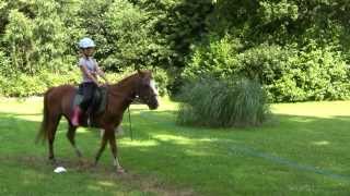 Colonie de vacances Lécurie fantastique  équitation et activités de la ferme [upl. by Eimaj]