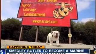 KGTV  ABC 10  Smedley Butler to become a Marine [upl. by Adnorahc]