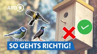 Vogelhäuser und Nistkästen richtig aufbauen 🐦🪹  Servicezeit WDR [upl. by Hedberg666]