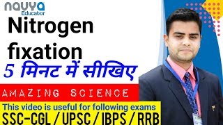 Nitrogen fixation process  Science  class 8  CBSE  Navya Educator [upl. by Safire]