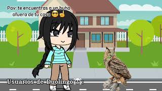 Usuarios de Duolingo viendo a un buho afuera de su casa 😰👊 [upl. by Nakre]