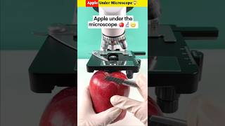 Apple Under Microscope😱 shorts youtubeshorts shortvideos [upl. by Pardew]