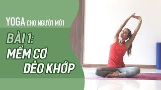 Yoga cho NGƯỜI MỚI  Bài 1 MỀM CƠ DẺO KHỚP  Yoga By Sophie [upl. by Tychonn]