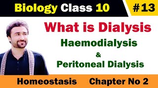 What is dialysis class 10  haemodialysis and peritoneal dialysis [upl. by Lattie618]