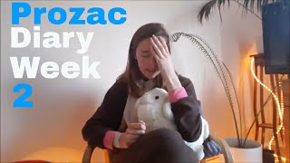 FluoxetineProzac Diary  Week 2 Panic Attack [upl. by Anneh]