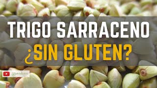 ✅ TRIGO SARRACENO ¿Qué es ¿Tiene gluten Propiedades y BENEFICIOS [upl. by Henryk451]