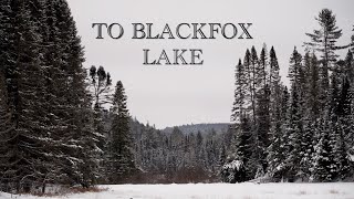 ALGONQUIN Winter Trekking to Blackfox Lake [upl. by Devy]