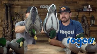 Flocked Head Mallard Drake Decoy Comparison [upl. by Aihseyn]