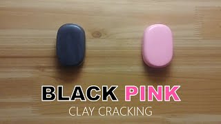 BLACKPINK tico ice cream clay cracking 블랙핑크 티코 아이스크림 점토 부수기 [upl. by Eiliak]