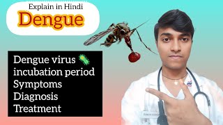 Dengue fever explain in hindisymptoms incubation periodlab diagnosis and treatment [upl. by Laurent517]