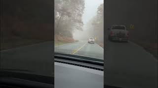 Road trip to clingmans dome foggyforest roadtrip travelvlog fallout trendigshorts naturelover [upl. by Nnylylloh]