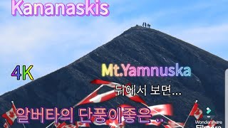 Yamnuskamt kananaskis hiking캐나다 록키 트래킹Calgary산악 동호회 산행 [upl. by Attirb536]