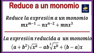 TERMINOS SEMEJANTES Reducción a un Monomio [upl. by Adile321]