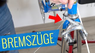 BREMSZÜGE AUSTAUSCHEN Campagnolo Record  Felix Oldtimer Projekt  Fahrradorg [upl. by Enra261]