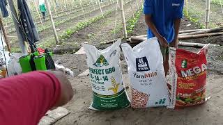 Fertilizer sa mga bago Kong mga pananim Ito po mga ka farmers share ko lang sa Inyo 👍 [upl. by Yi924]