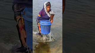 Unique Fishing technique by river Sunitajikakitchen1 fishingcatchingkitchenfishingvideo [upl. by Groves748]