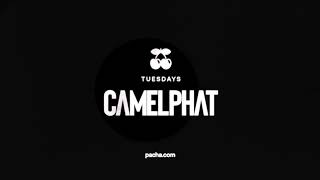 CAMELPHAT at Pacha Ibiza [upl. by Calv]