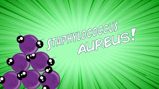 ¡Staphylococcus aureus en 8 minutos [upl. by Barbe384]