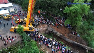 Impressive Excavator And Double Crane Use His Power Recovery Big Tree Sink Deep Water Successfully [upl. by Odrareg]