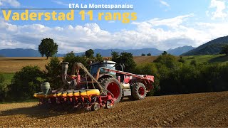 😎 Semis de COLZA en 11 RANGS VADERSTAD et jumelée intégral ROUGE  ETA LA MONTESPANAISE  🌿 [upl. by Benis375]