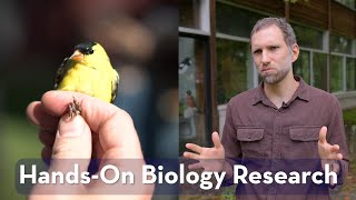 HandsOn Biology Research at Bennington College [upl. by Dis]